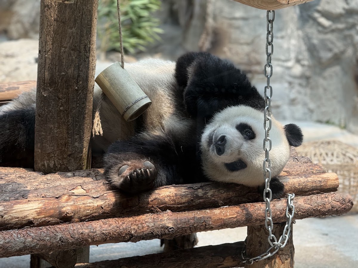 Beijing Zoo