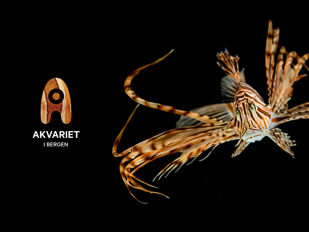 Akvariet i Bergen - The National Aquarium