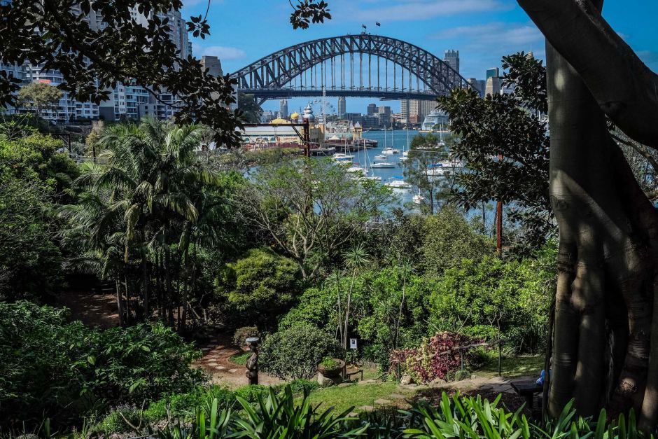 Wendy Whiteley's Secret Garden