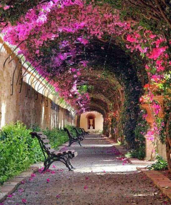 Jardins de Monforte
