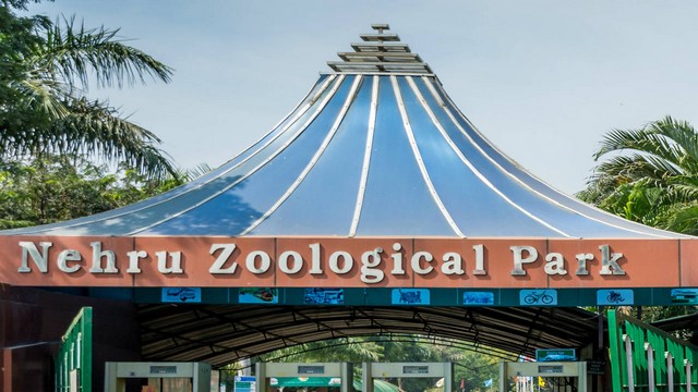 Nehru Zoological Park Hyderabad