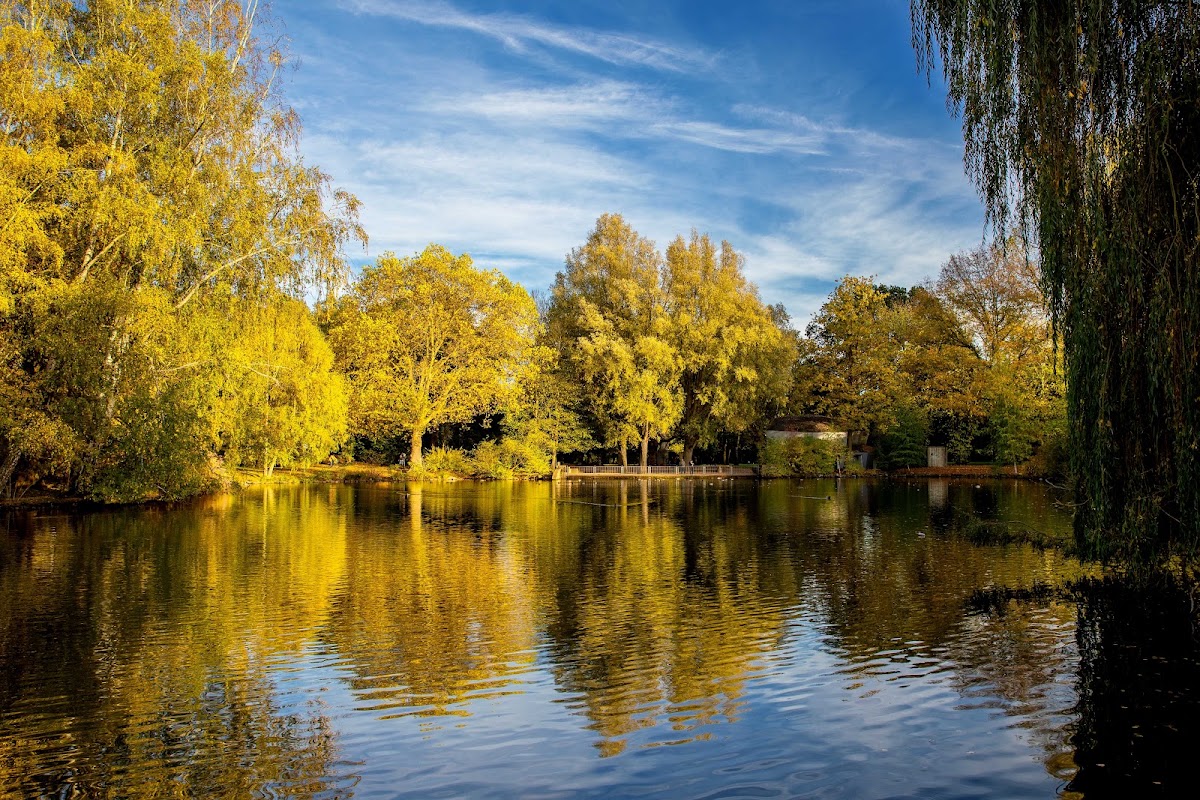 Volkspark Kaiserslautern