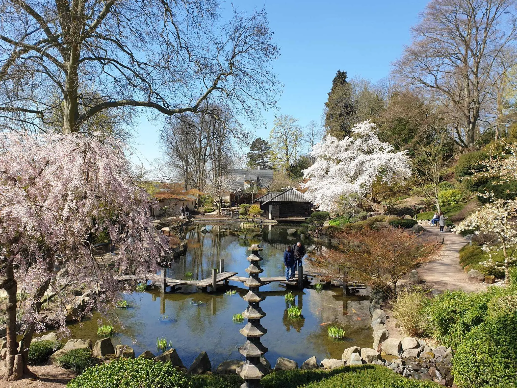 Japanischer Garten Kaiserslautern