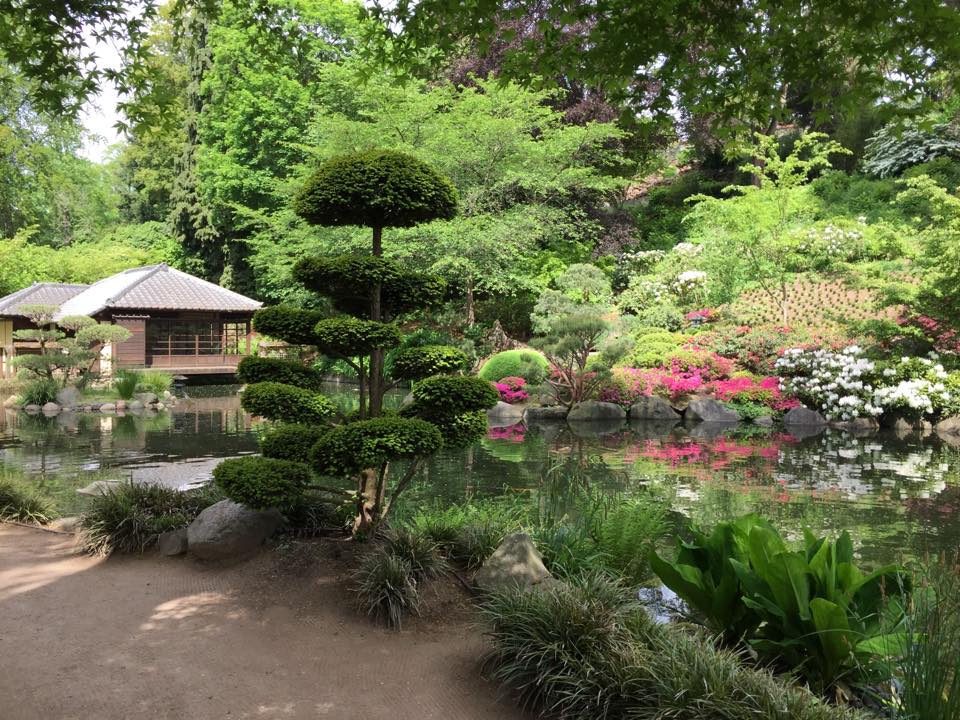 Japanischer Garten und Japan-Imbiss