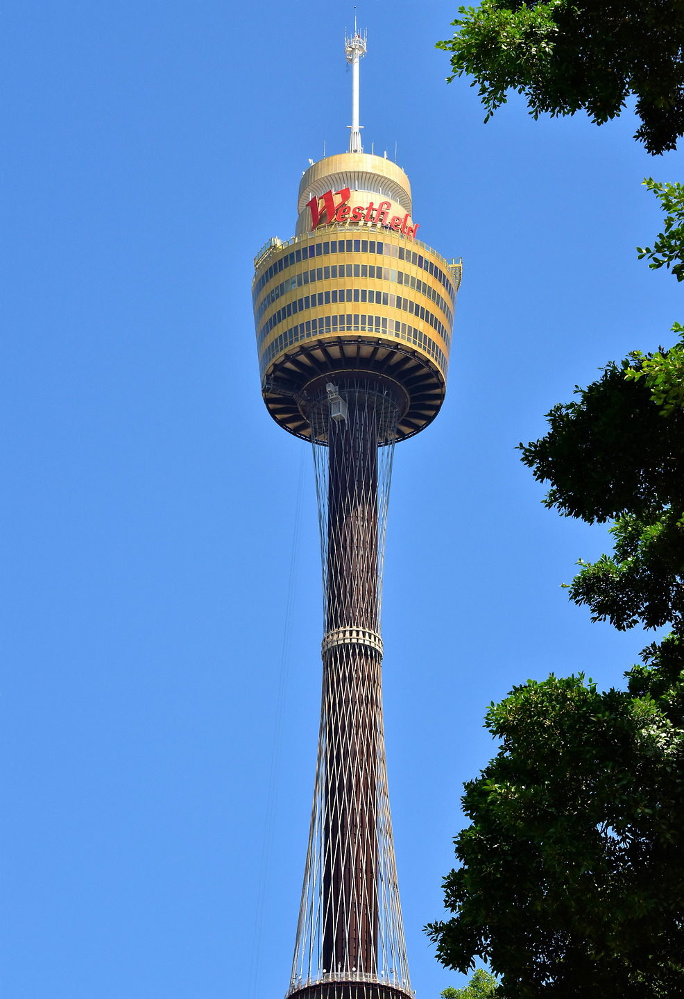 Sydney Tower Eye