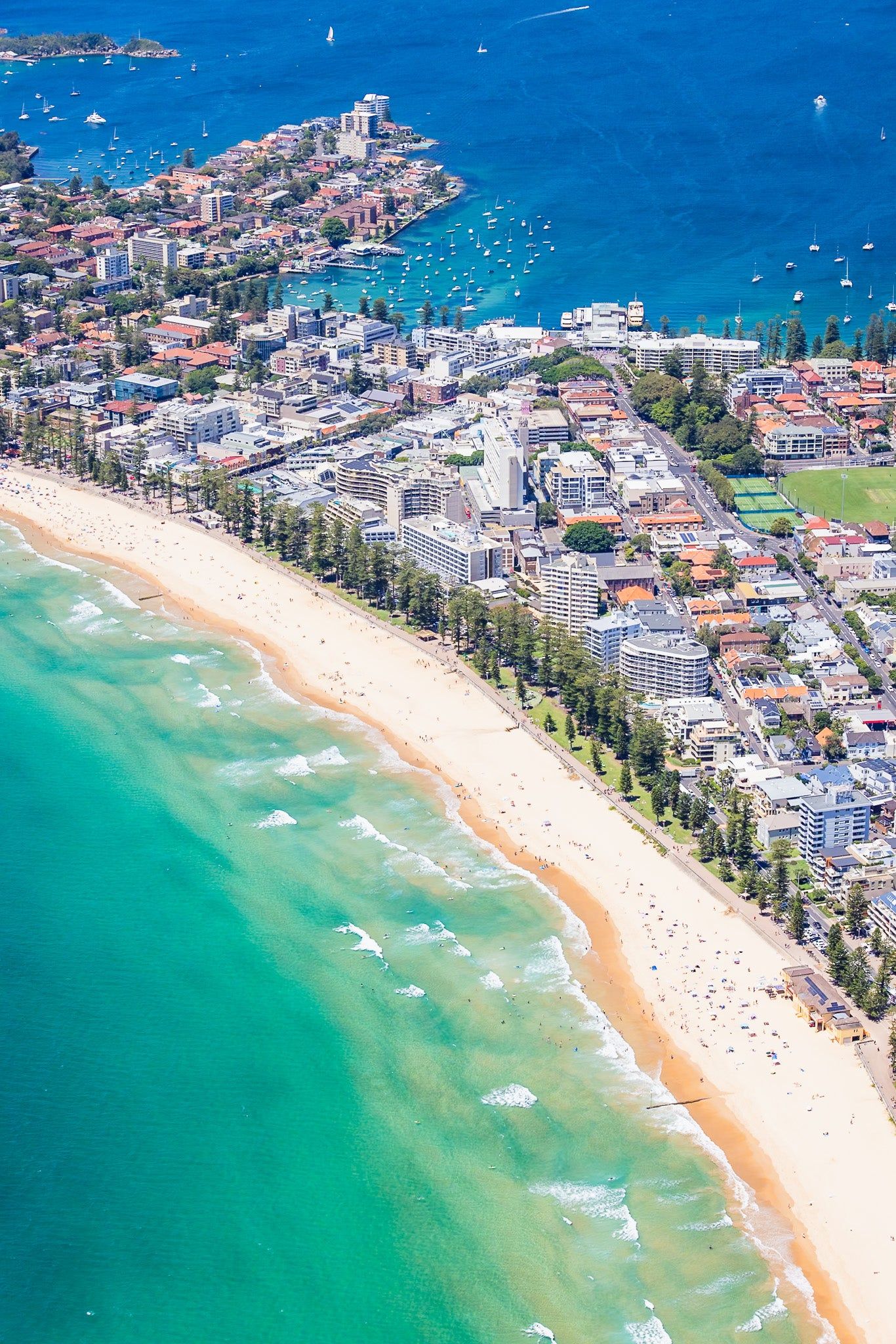 Manly Beach