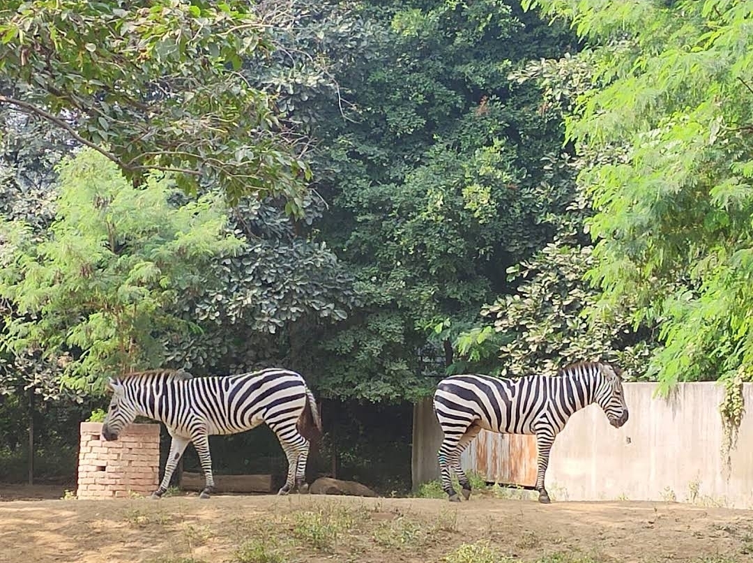 Sanjay Gandhi Biological Park, Patna